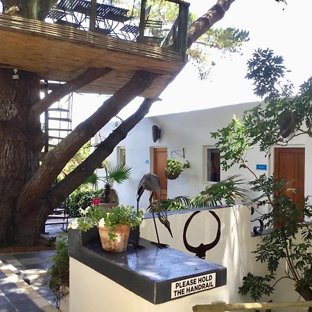 Oceangolf Guest House Нордхук Экстерьер фото